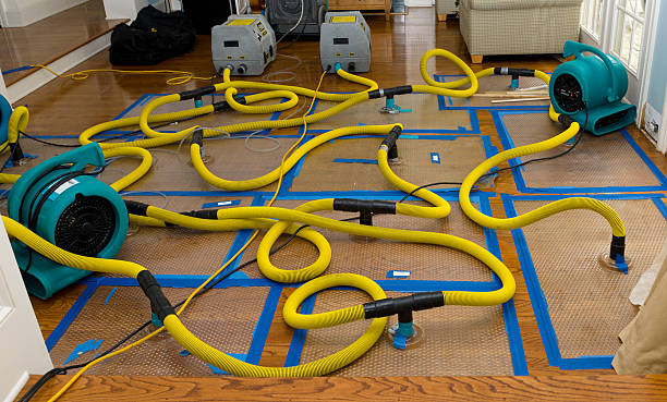 Professional Crawl Space Water Removal technician working in Callery, PA